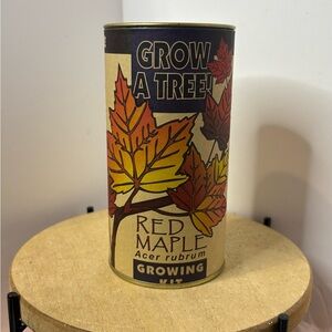 Red Maple Growing Kit, Great Stocking stuffer gift!
